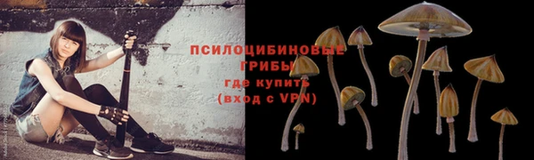 MDMA Premium VHQ Зеленокумск