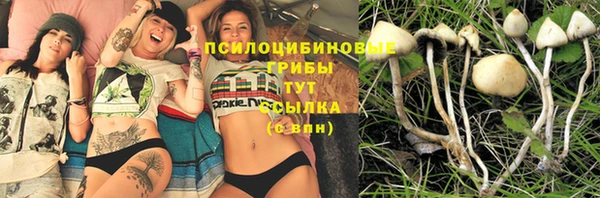 MDMA Premium VHQ Зеленокумск