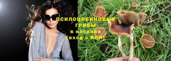 эйфоретик Зеленодольск