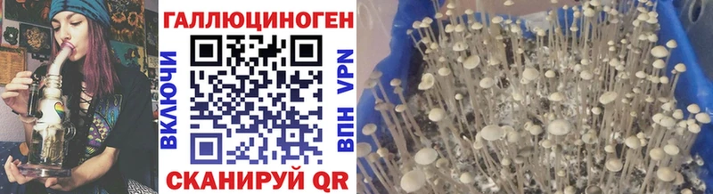 Купить закладки  Отрадный  Псилоцибиновые грибы прущие грибы 